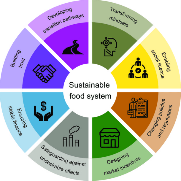 The Role of Intercropping by Using Organic Inputs to Increase the