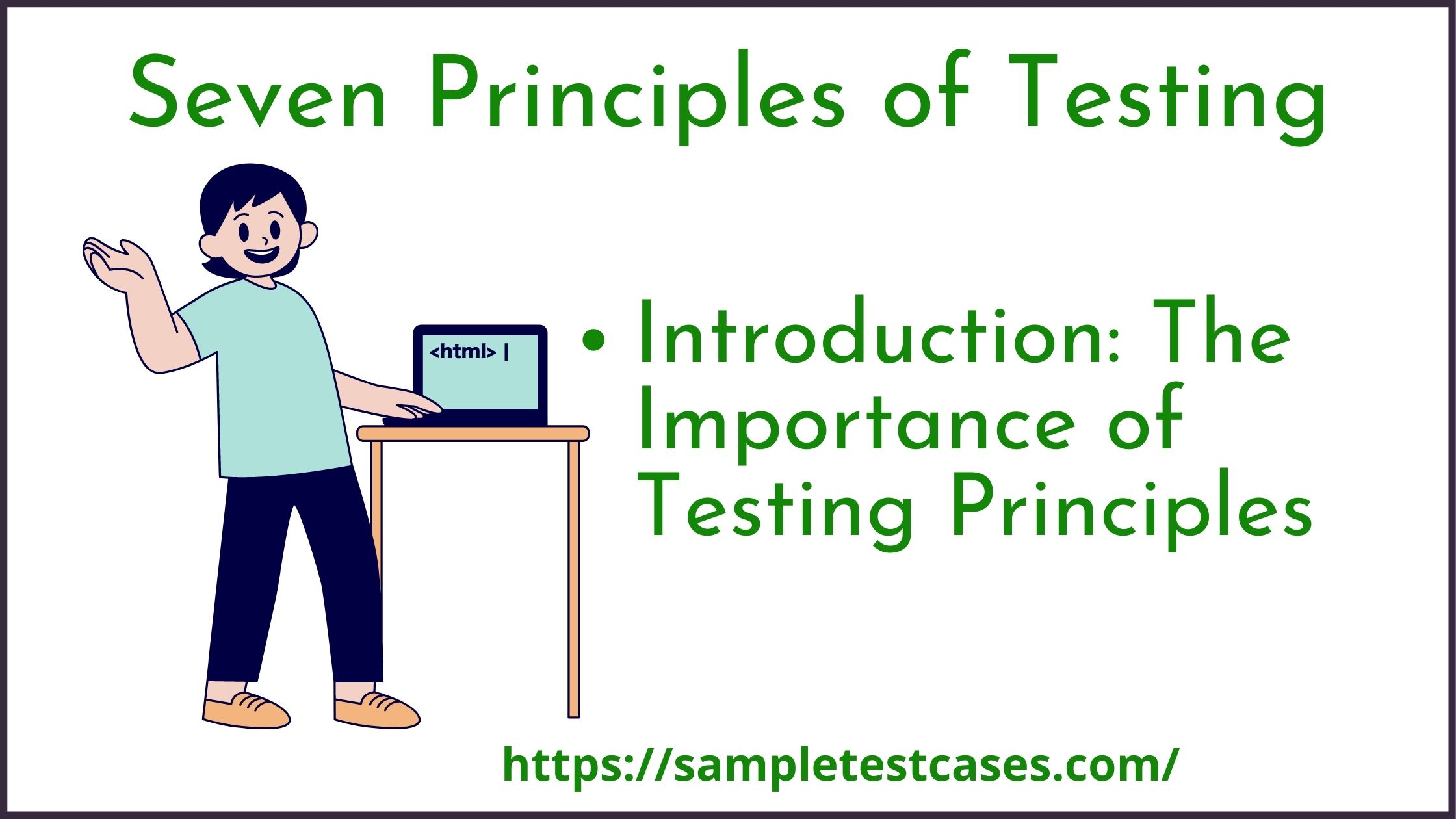 What are the 7 principles of testing?