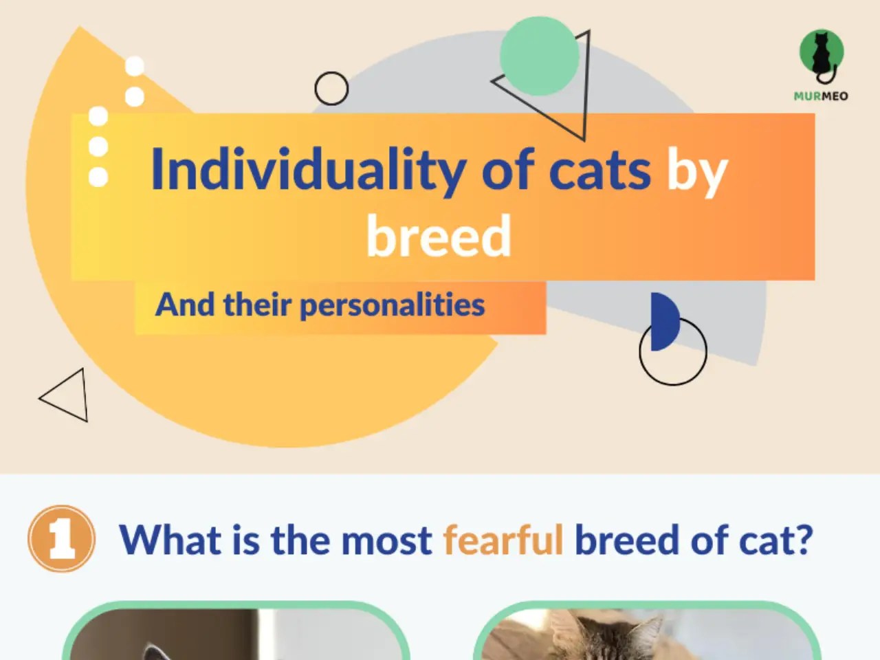 Individuality of Cats Breed and Their PersonalitiesSample Visualization