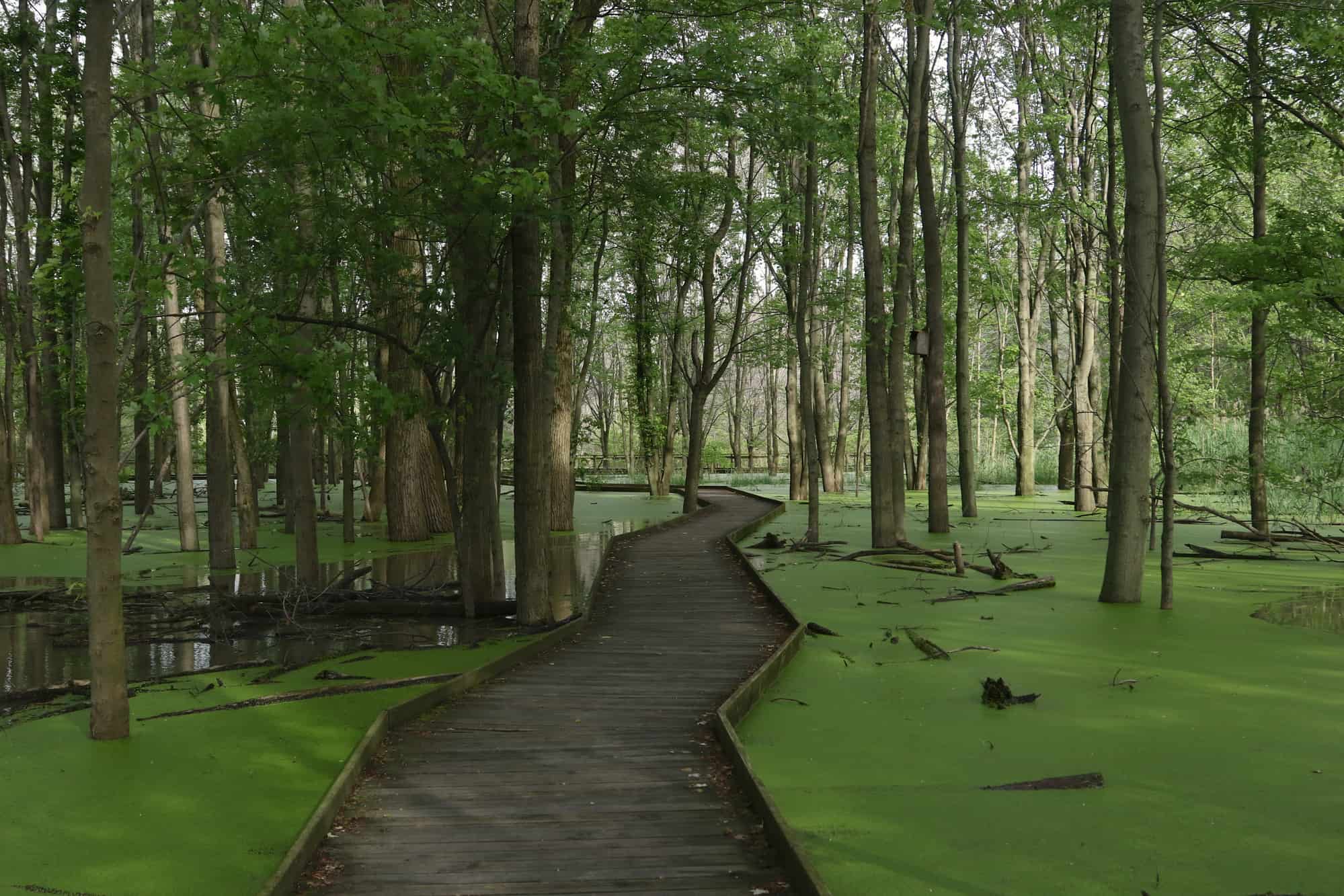 Top 15 Ohio Vacation Spots Vibrant Cities & Aesthetic Parks