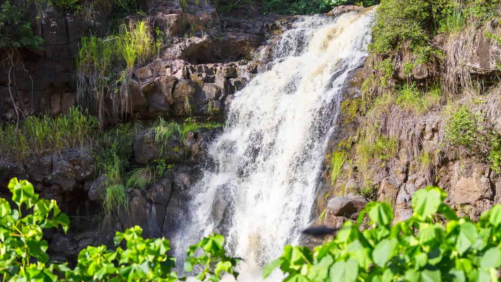 5 Waterfalls Near Staunton, VA, Plus Others in Virginia!