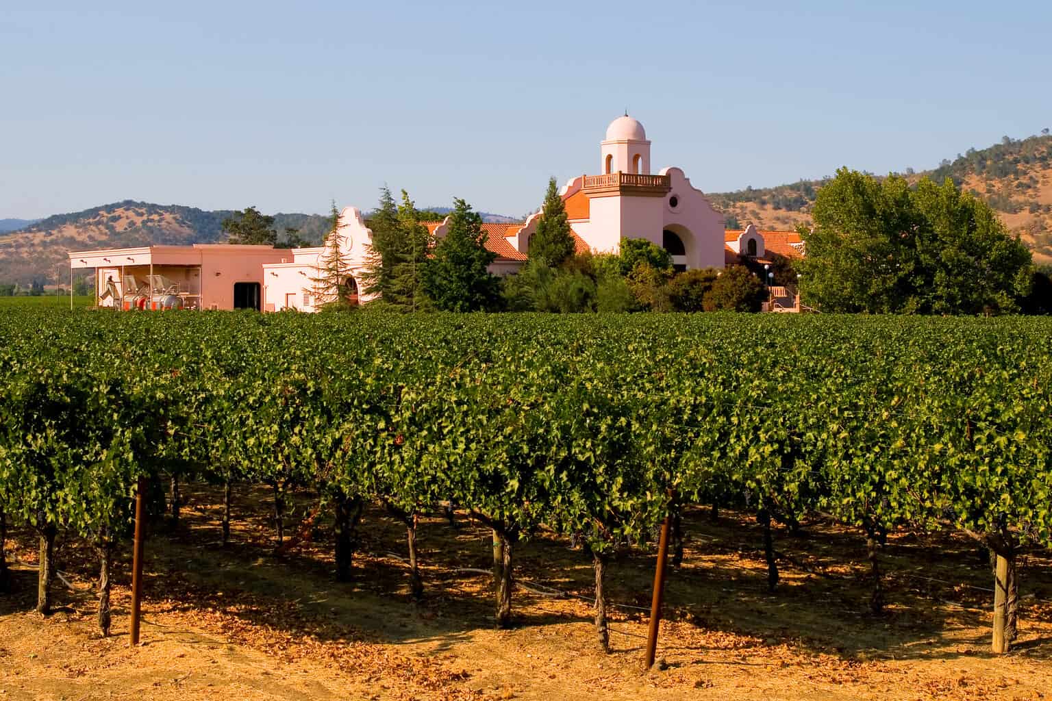 8 Wineries in Temecula Beautiful Settings, Delicious Wines