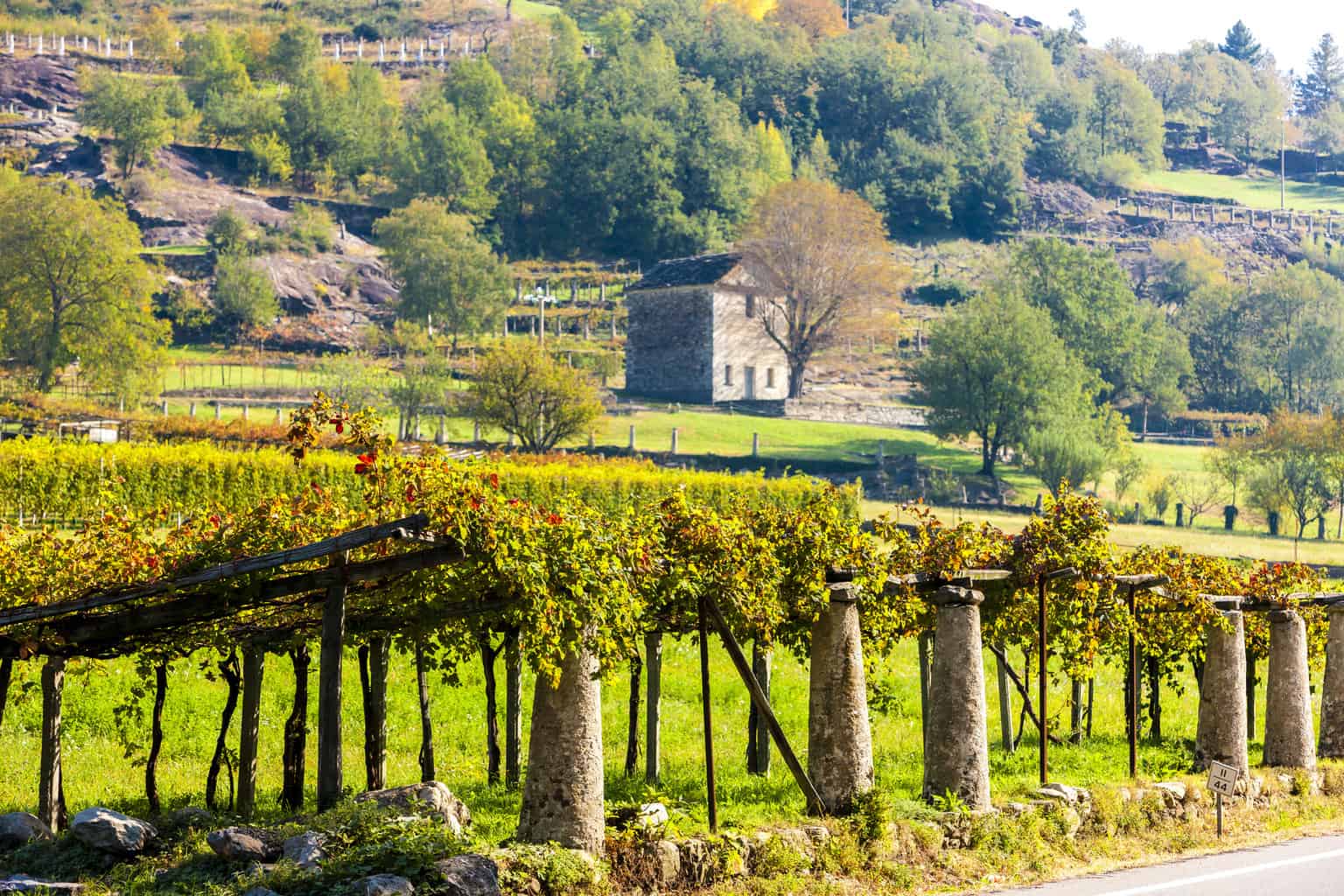 9 Wineries in Prosser That Will Delight and Amaze You