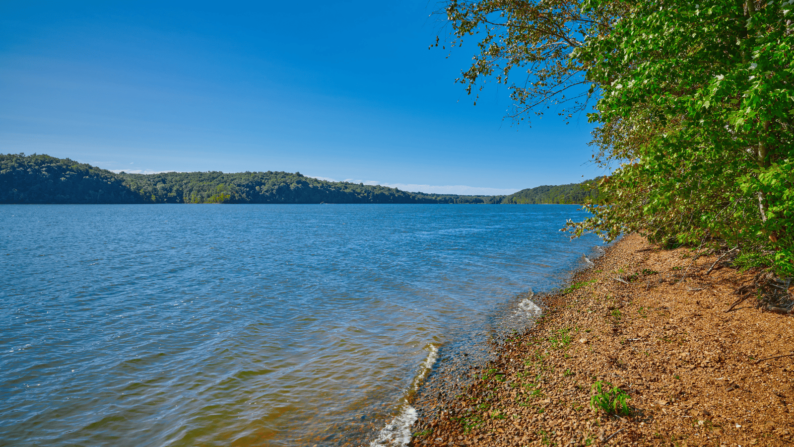 Best Lakes in Kentucky Explore Bluegrass State's Gems