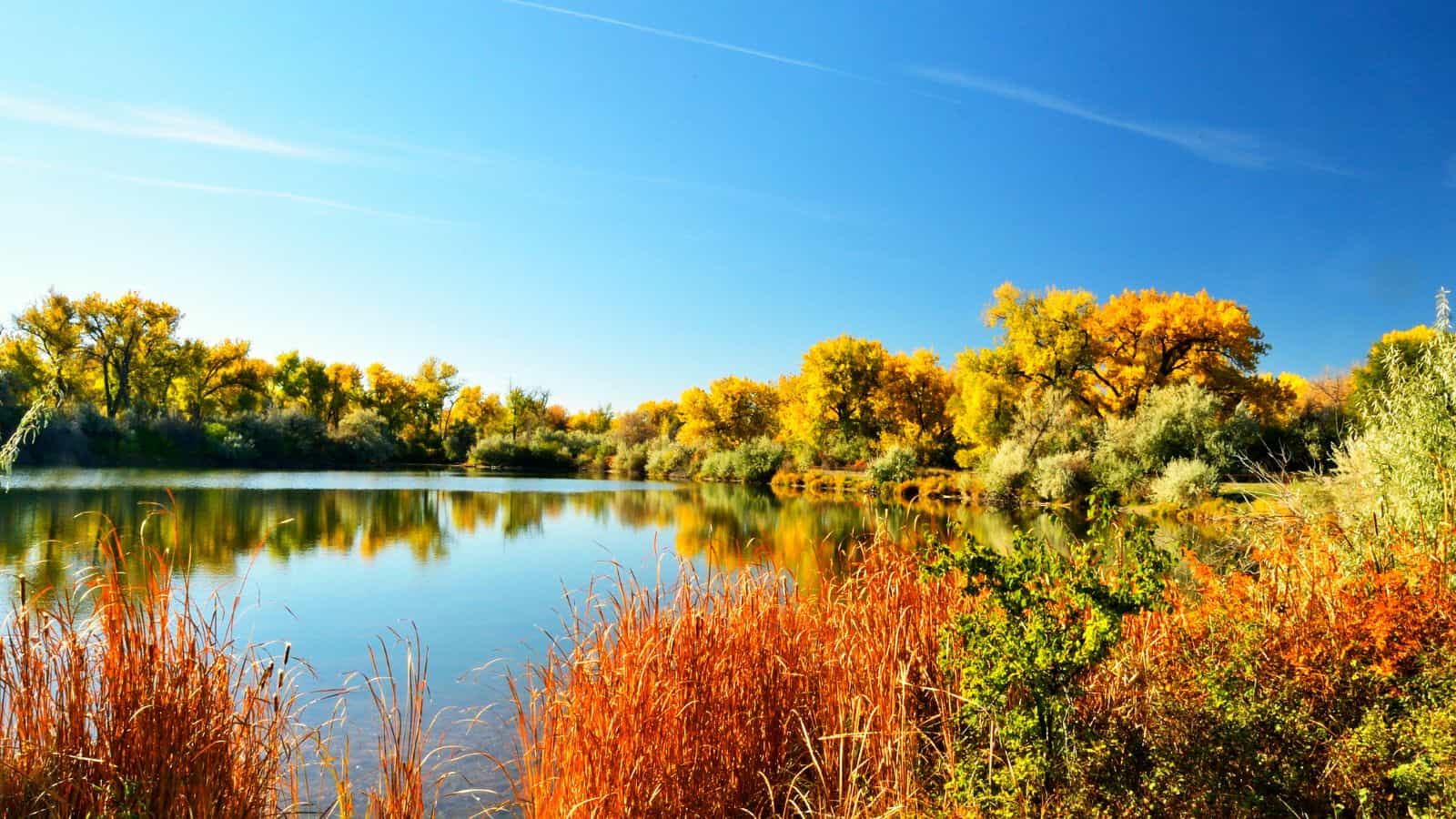 11 Best Lakes in Montana for Your Next Vacation