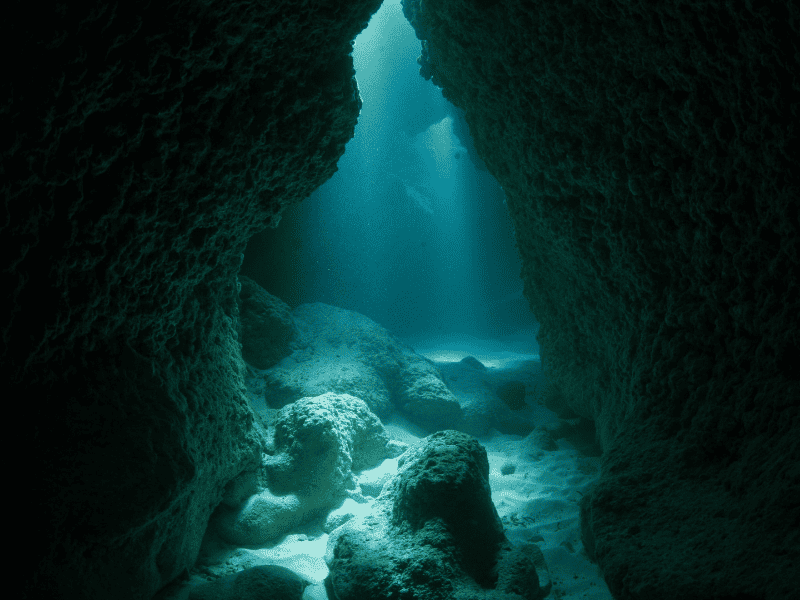 Caves in Florida Journey into Florida's Majestic Caves