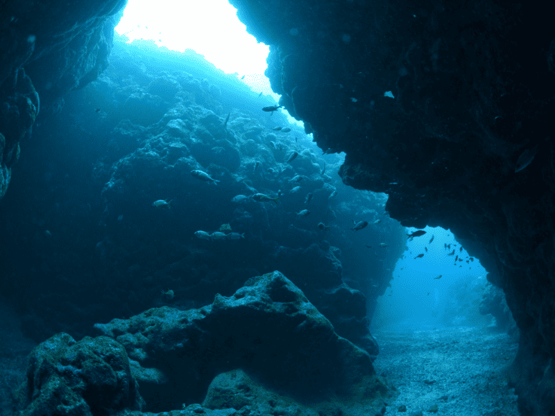 Caves in Florida Journey into Florida's Majestic Caves