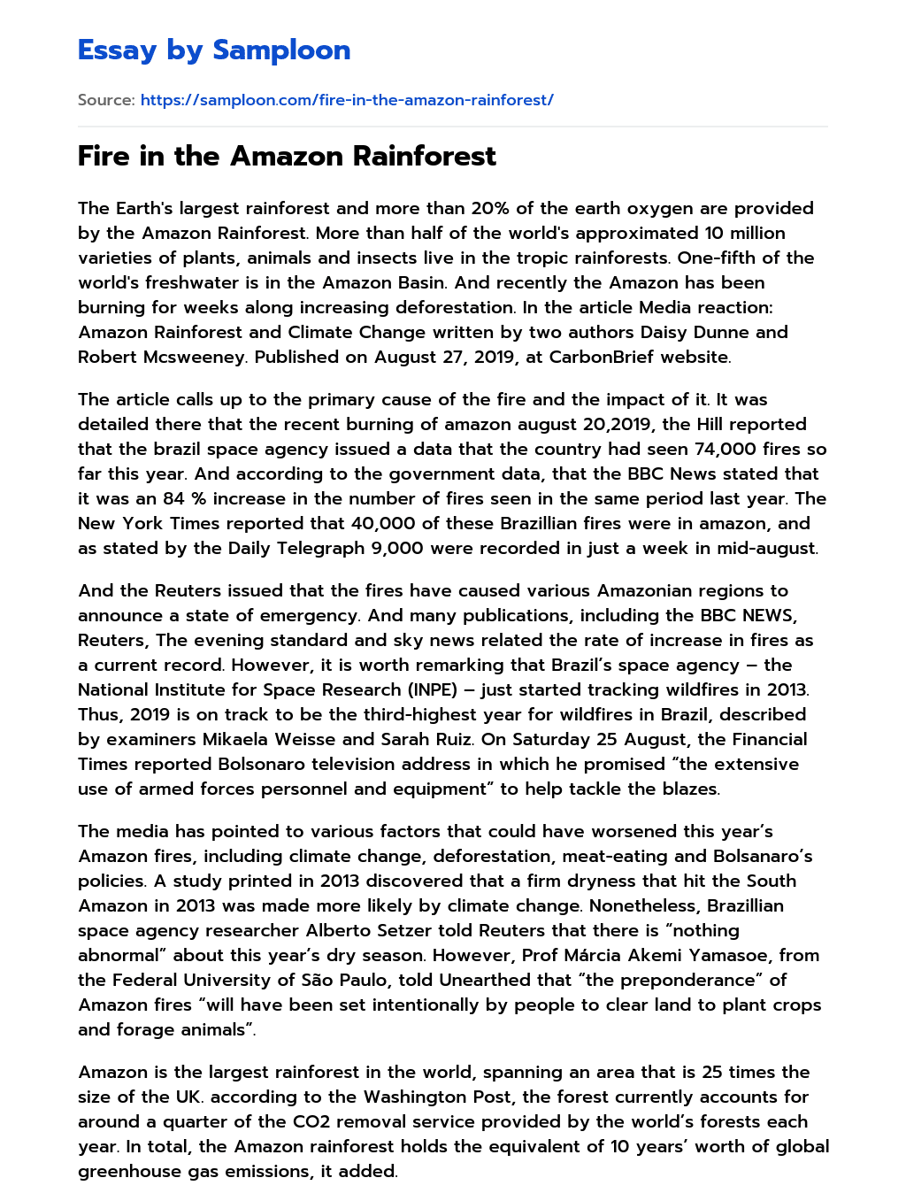 ≫ Fire in the Amazon Rainforest Free Essay Sample on