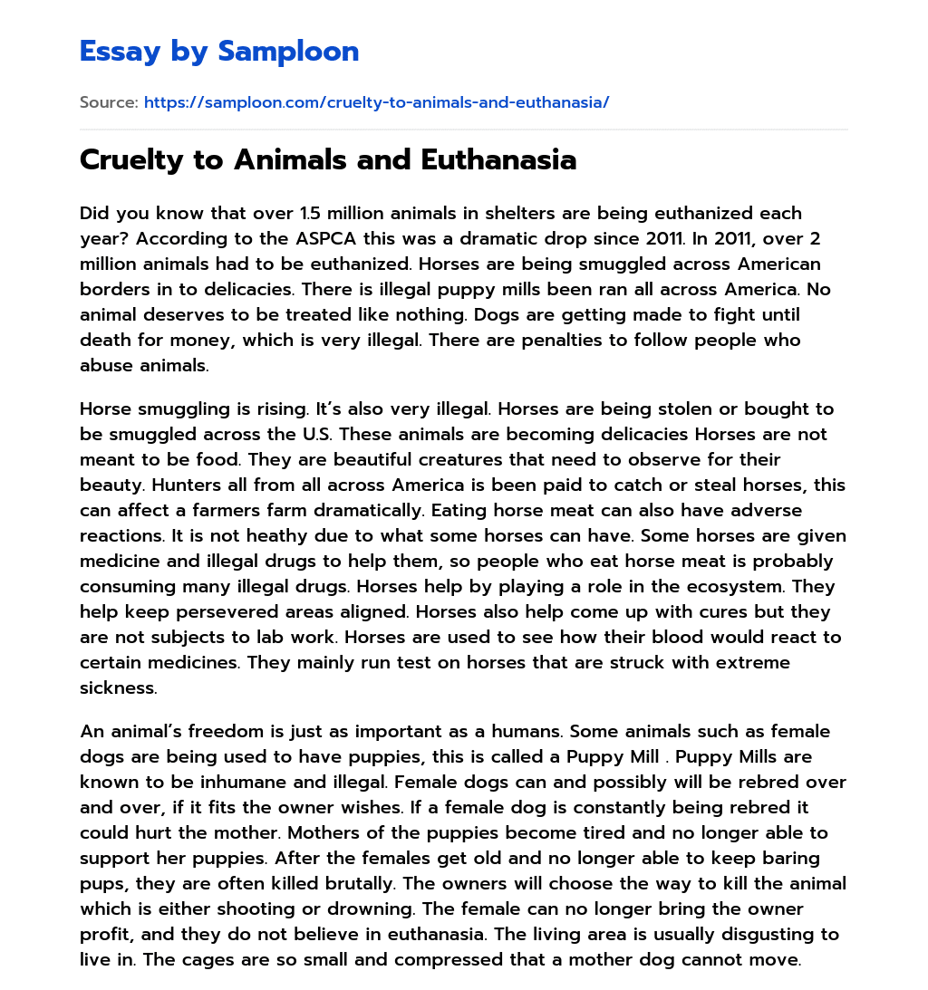 ≫ Cruelty to Animals and Euthanasia Free Essay Sample on