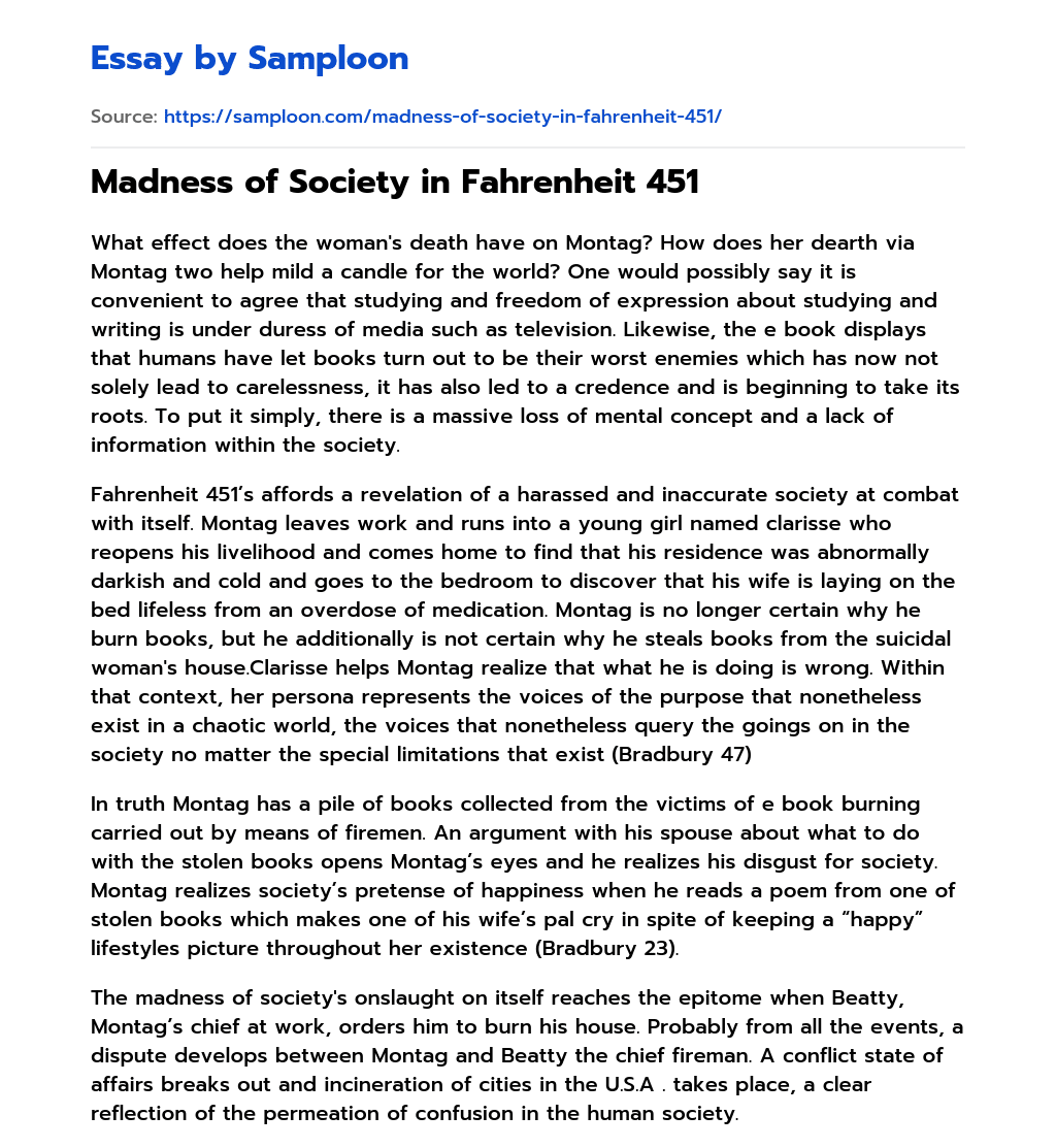 Madness of Society in Fahrenheit 451 Free Essay Sample on