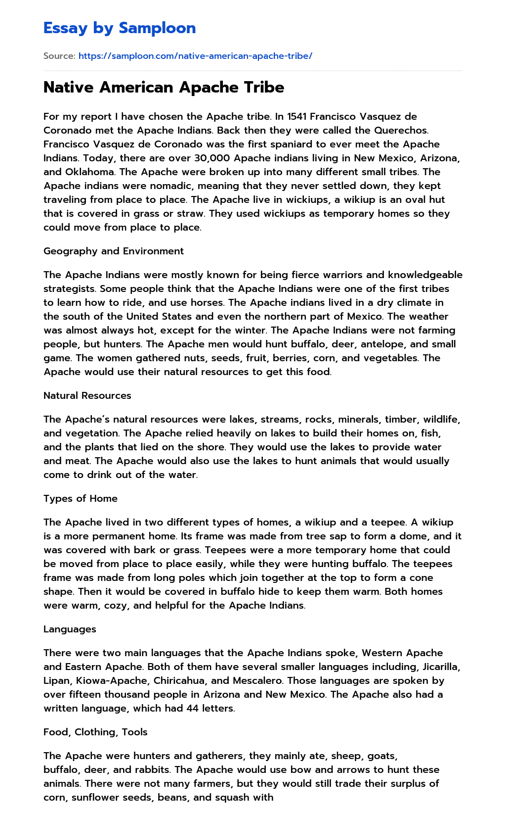 ≫ Native American Apache Tribe Free Essay Sample on