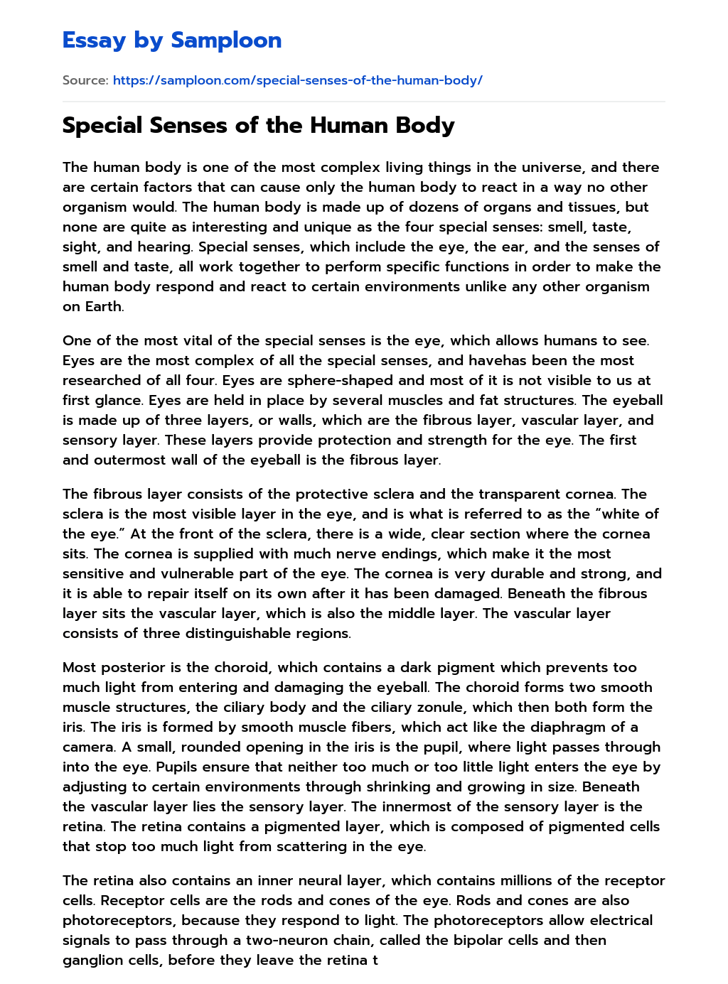 ≫ Special Senses of the Human Body Free Essay Sample on