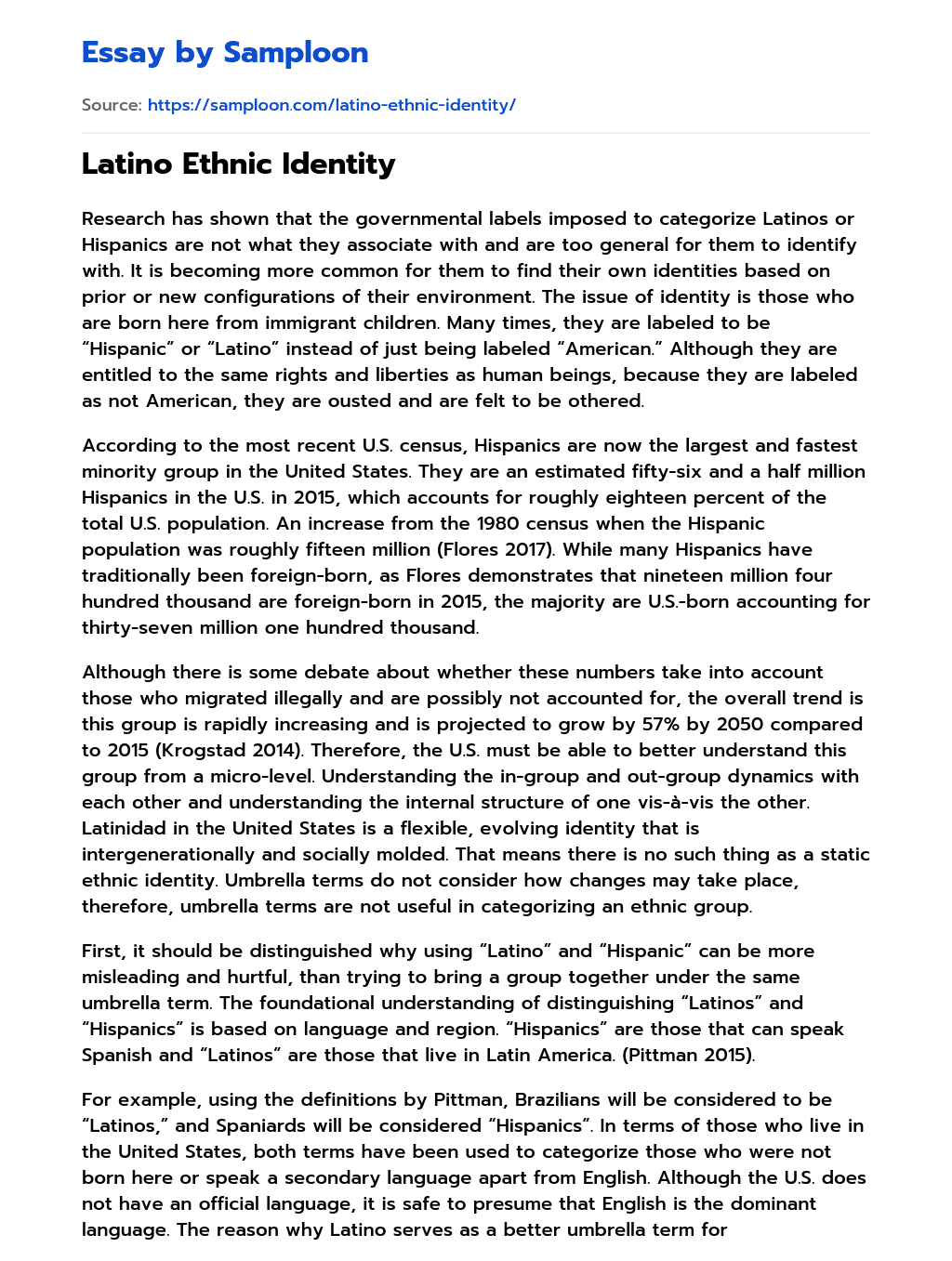 ≫ Latino Ethnic Identity Free Essay Sample on