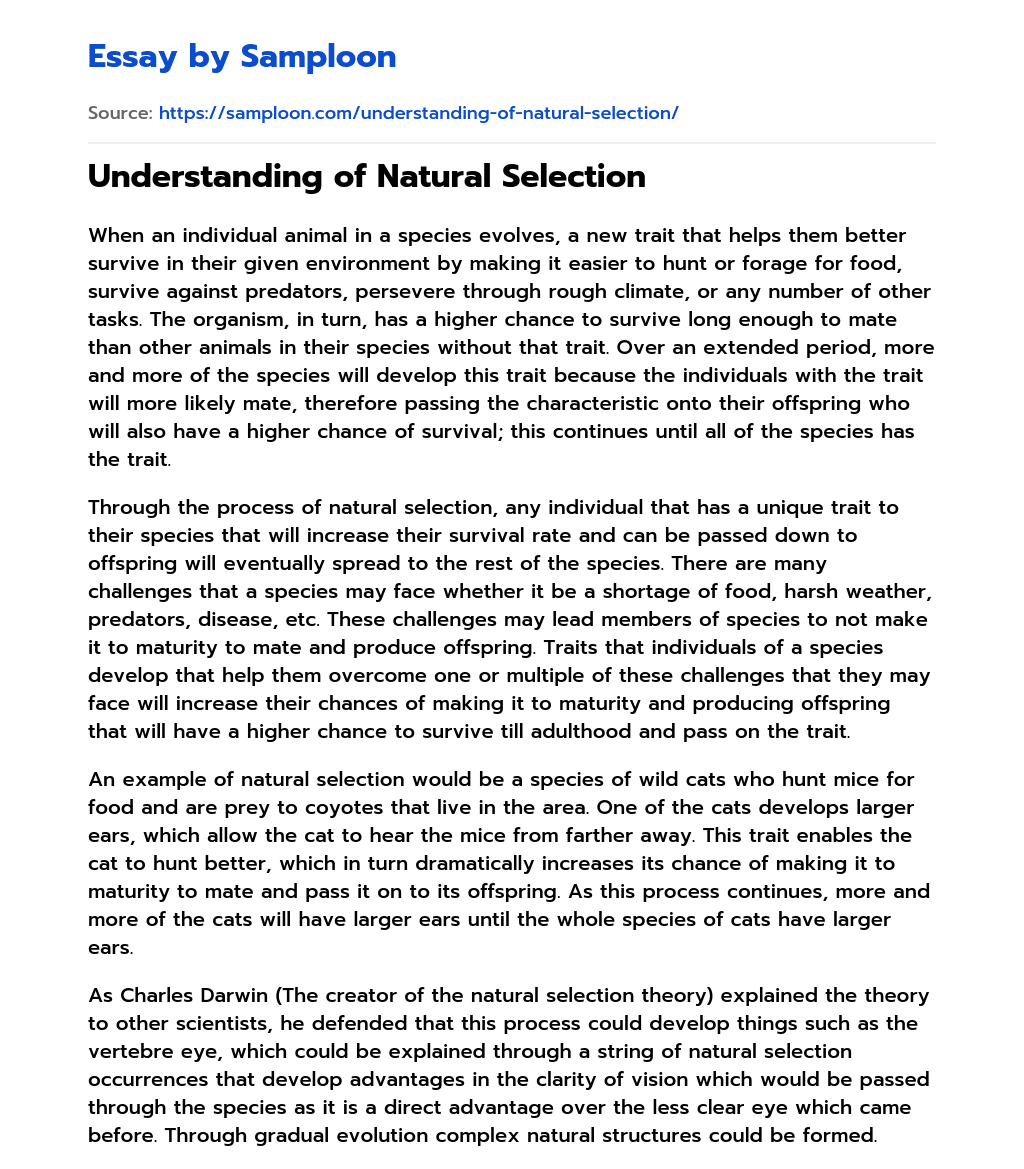 ≫ Understanding of Natural Selection Free Essay Sample on