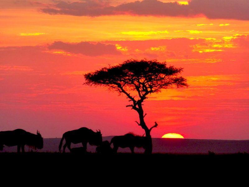 15 TopRated Tourist Attractions in Kenya Samrack Media