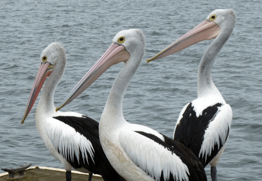 Thursday Threes October 13, 2016 Sam Rainer