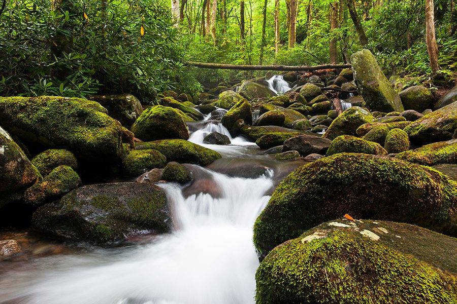 Green Architects in Asheville NC Samsel Architects