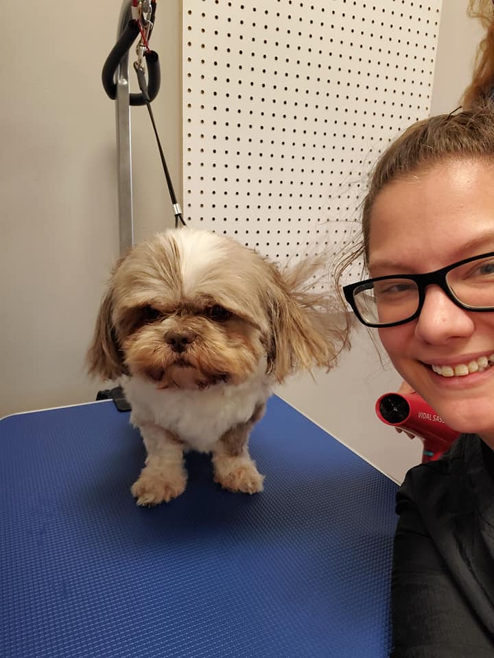 Sam's Dog Grooming Where all Fur Babies are