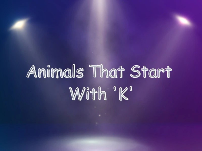 Animals That Start With K (Interesting Facts) Samtana