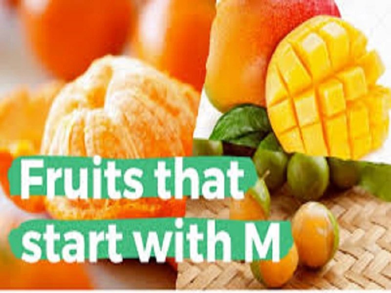 Fruits That Start With M Fruits Begins With M Samtana
