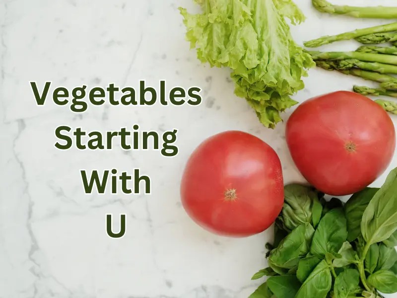Vegetables Starting With U Samtana