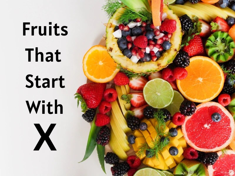 Fruits That Start With X Fruits Begins With X Samtana
