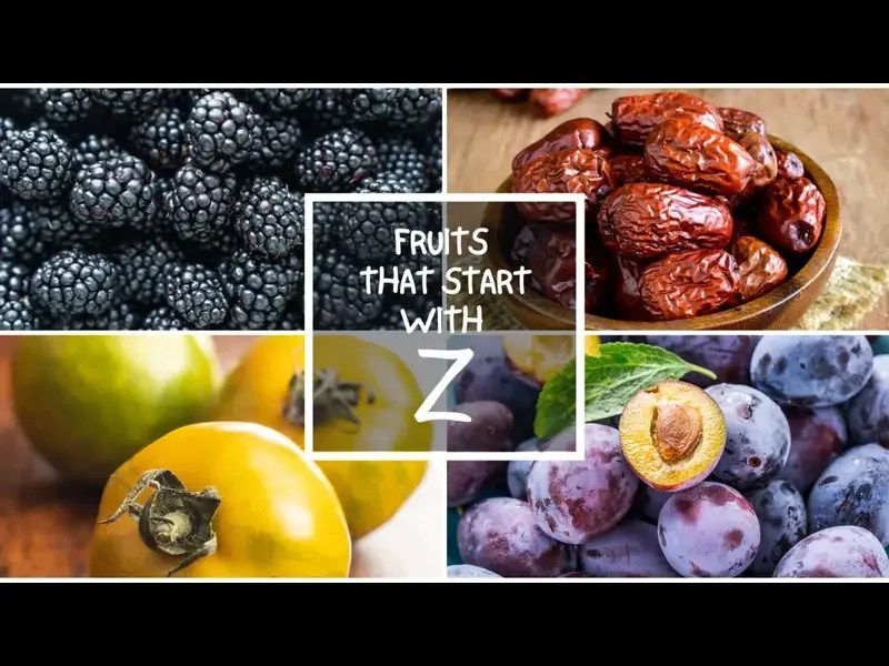 Fruits That Start With Z Fruits Begins With Z Samtana