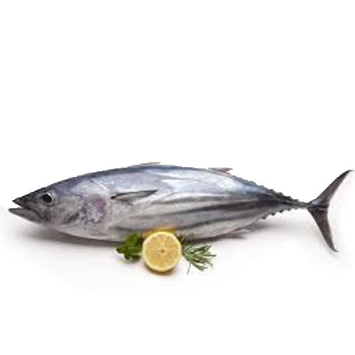 Kera (Yellow Fin Tuna) Frescor Foodworks Pvt Ltd