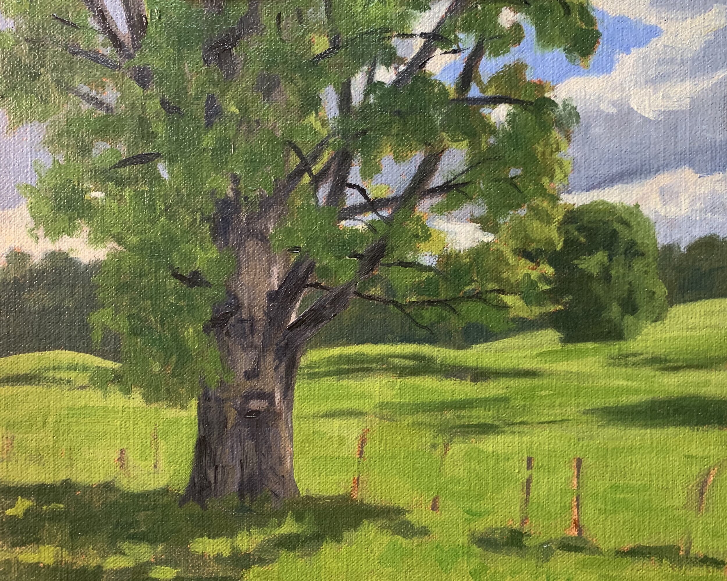 How to Paint Trees and Leaves Samuel Earp