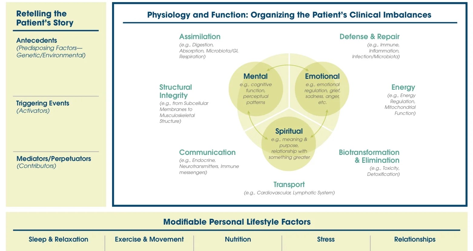 How Does Functional Medicine Work? Samuel Maddock Health