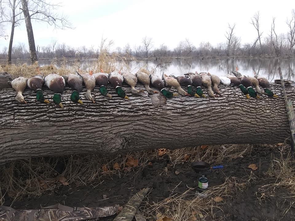 Samuels Outfitter LLC Guided Waterfowl Hunts Burlington Jct., MO