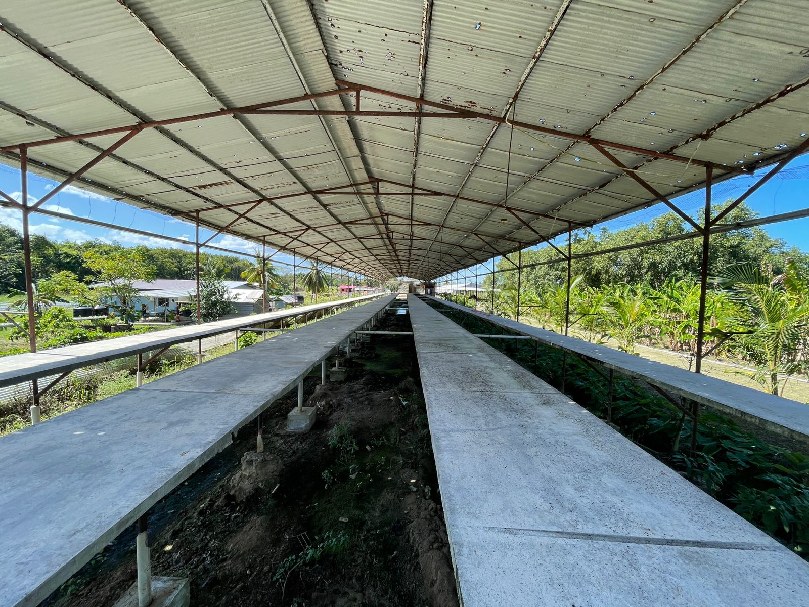 Chicken Farm for Sale Samuel’s Realty and Transport