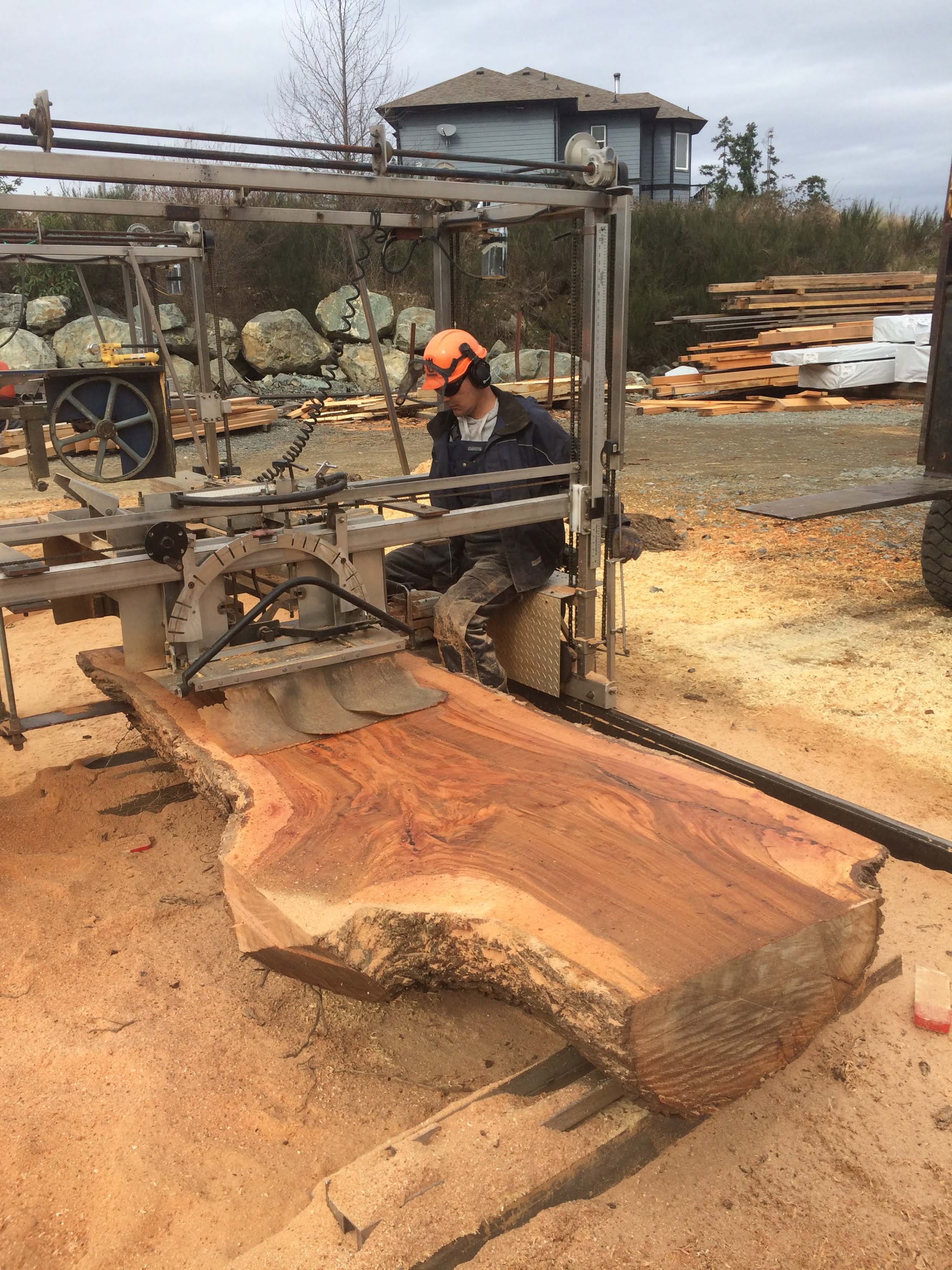 Chainsaw Milling 4' wide Elm Slabs! The Samurai Carpenter