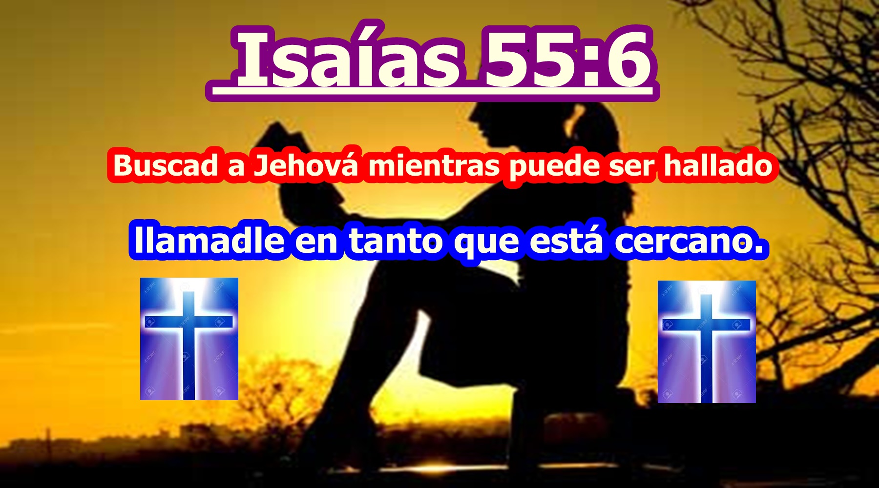 10 Versículos de la Biblia sobre Buscar a Dios Sana Doctrina Videos