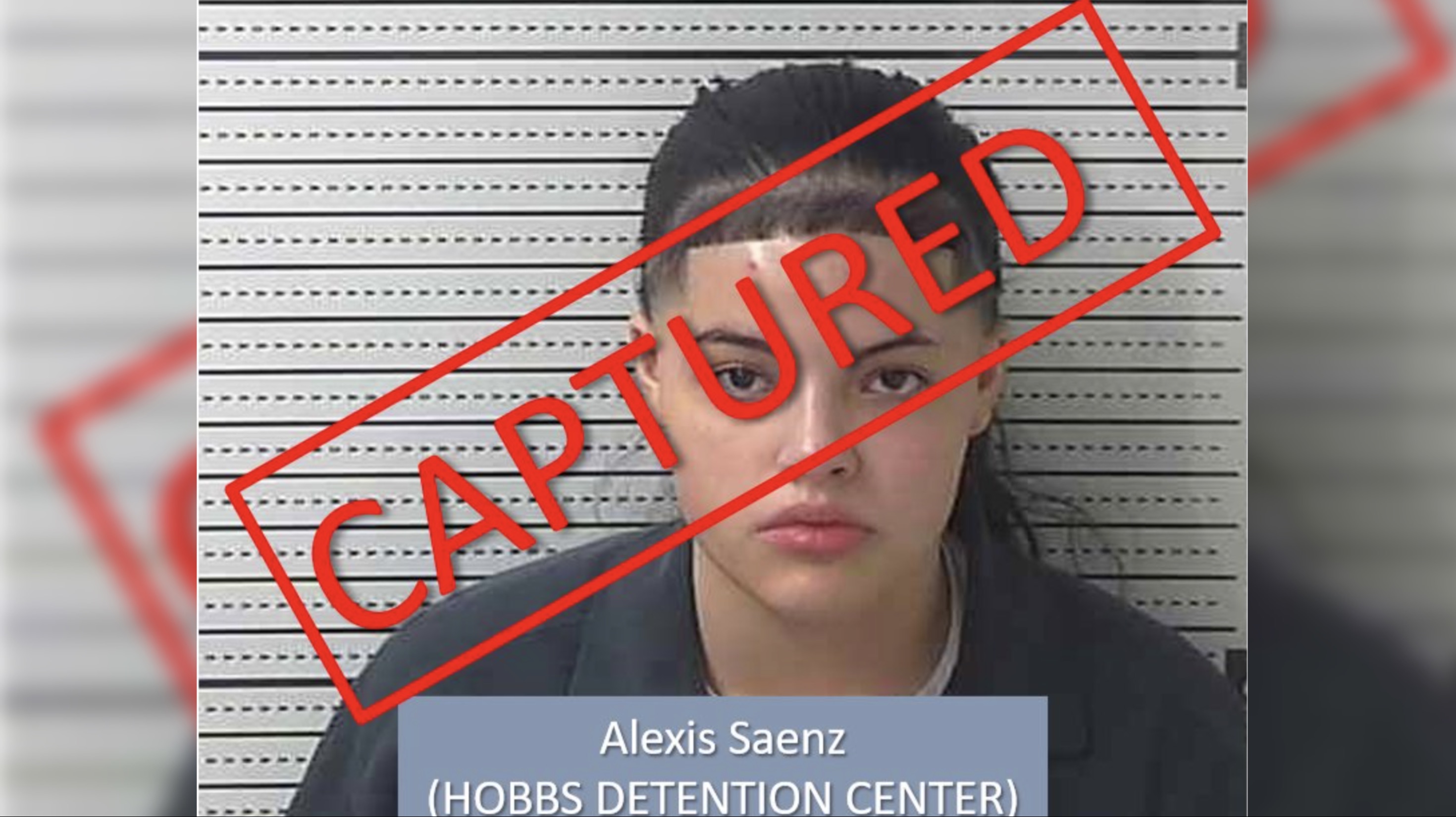 Woman Wanted for Vehicular Homicide Finally Captured