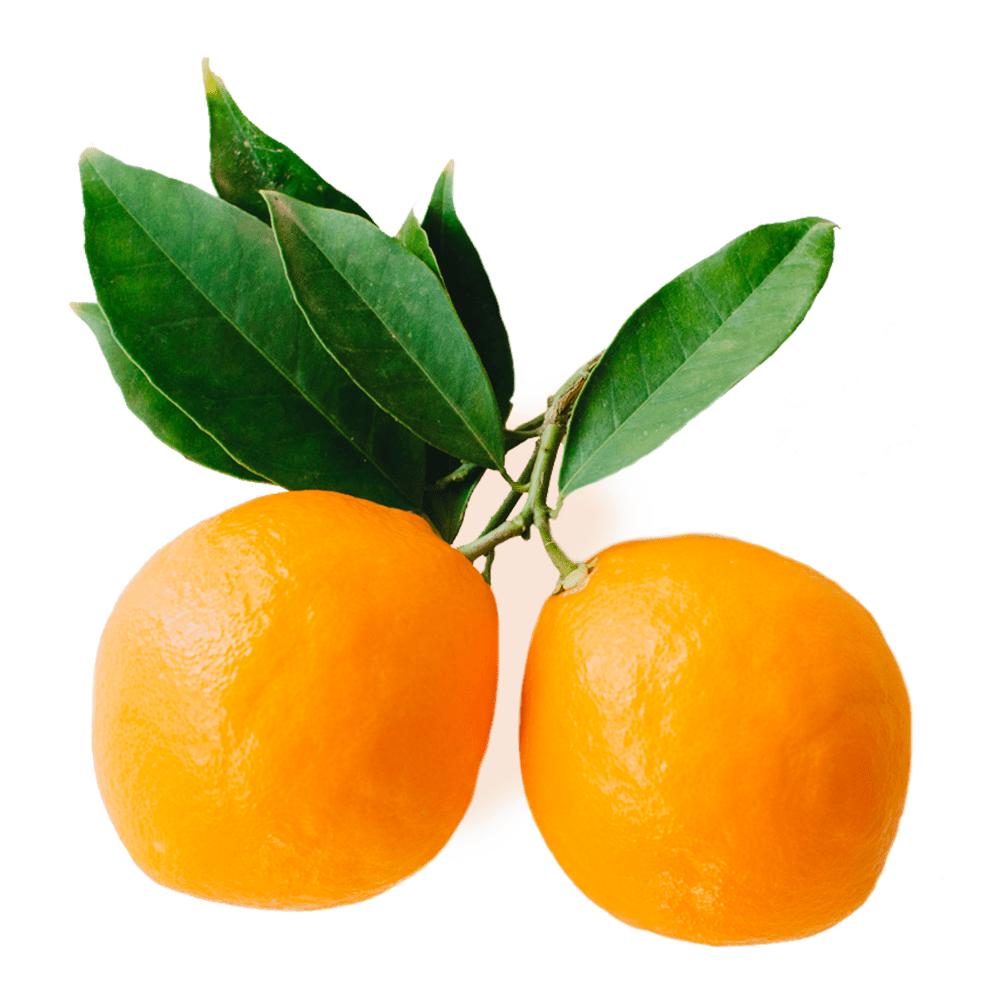  SAN ANTONIO PREMIUM ORIGIN FRUITS