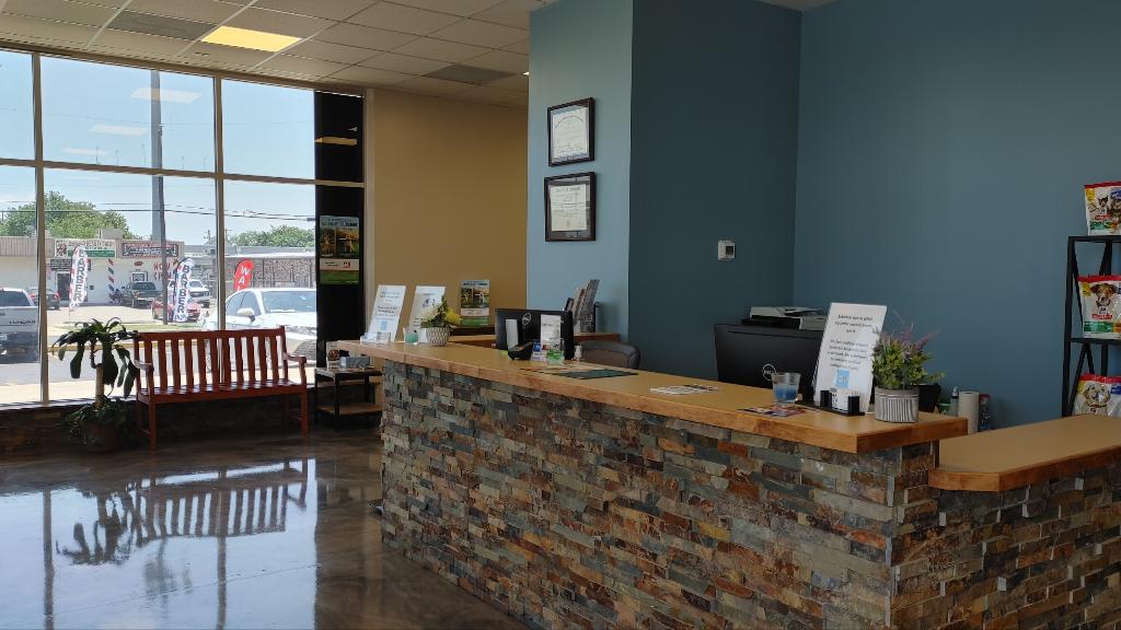 Low Cost Dog Vets Near Me at Amanda Rickard blog