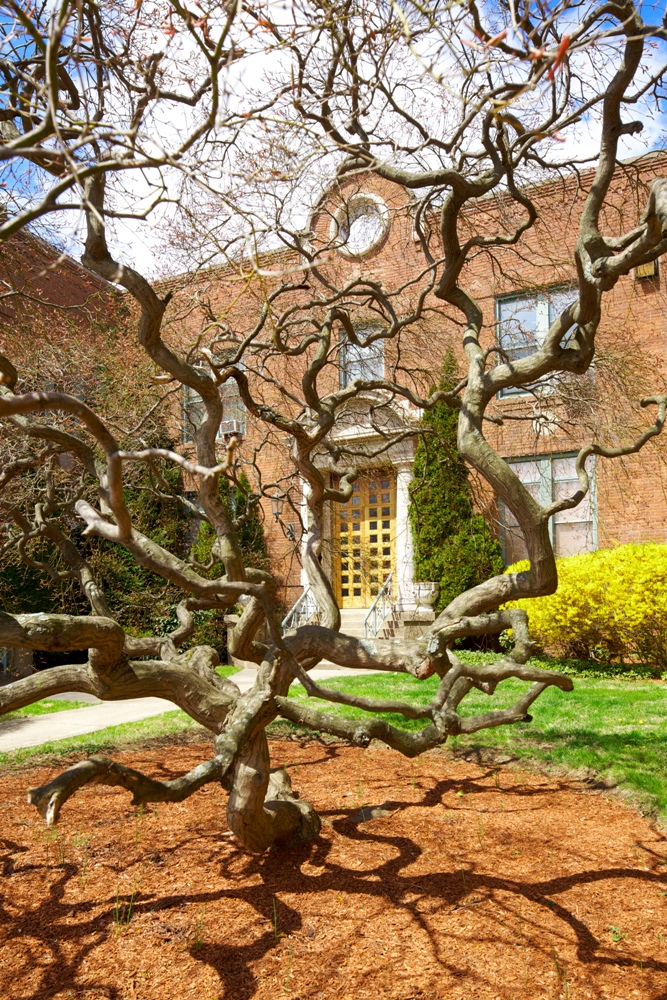 Sanborn Map Building Photo Gallery