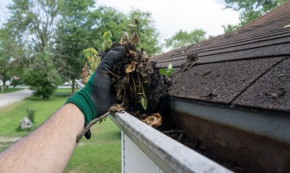 Gutter Cleaning Services in Ballard Queen Anne Magnolia WA