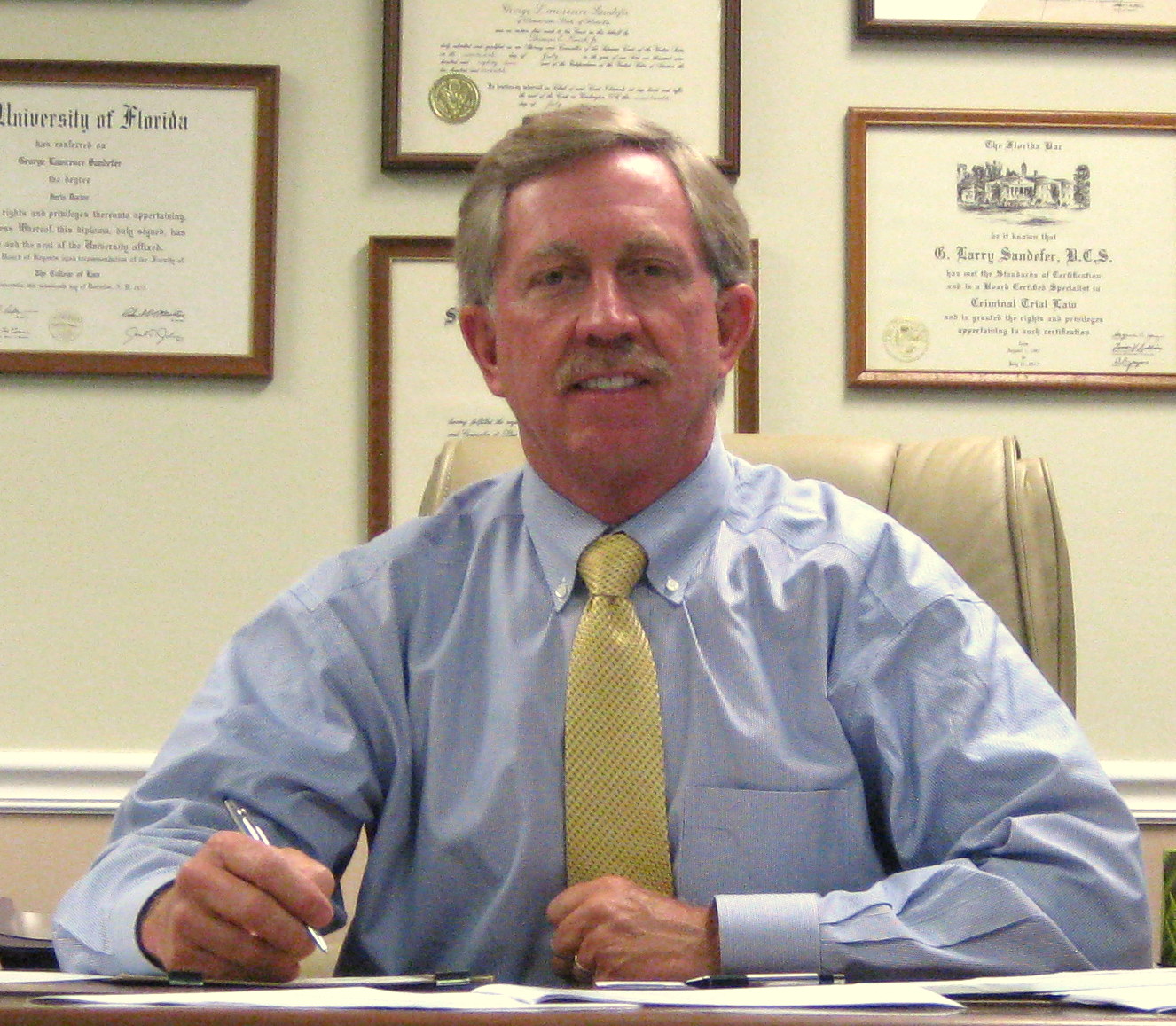 Tampa Bay Criminal Defense Attorney lizmerrittdesigns