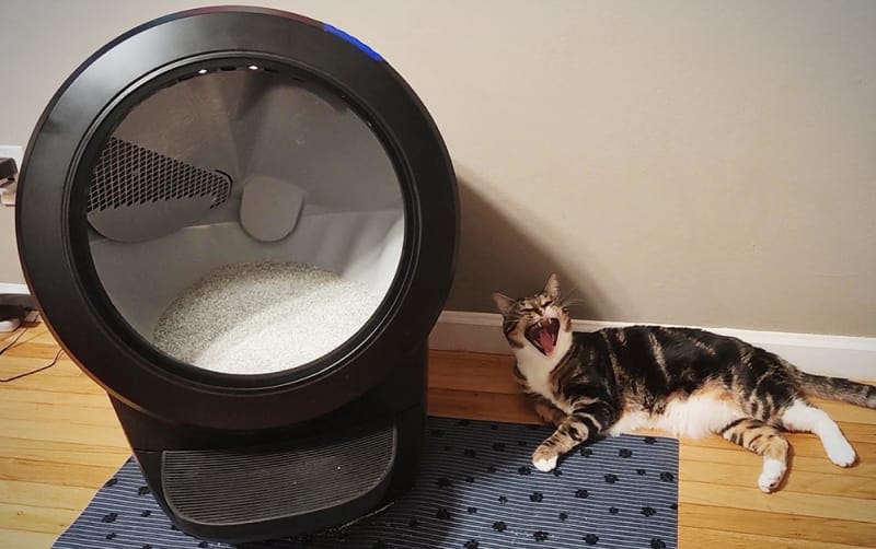 A StepbyStep How to Reset Litter Robot 4