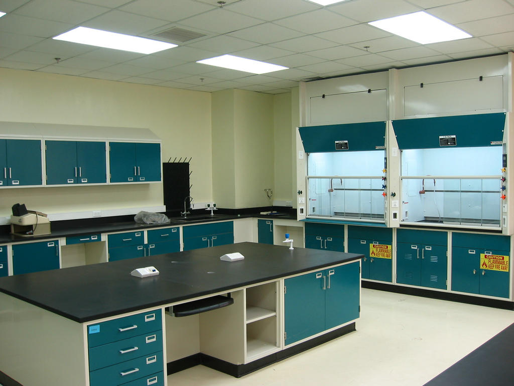 Laboratory Casework & Furniture Sander Mechanical Service