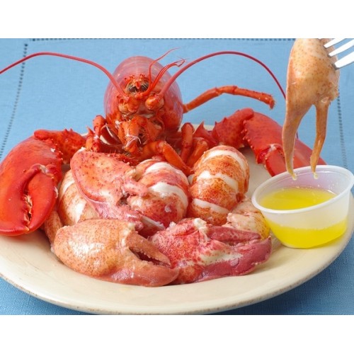 Fresh Lobster Meat