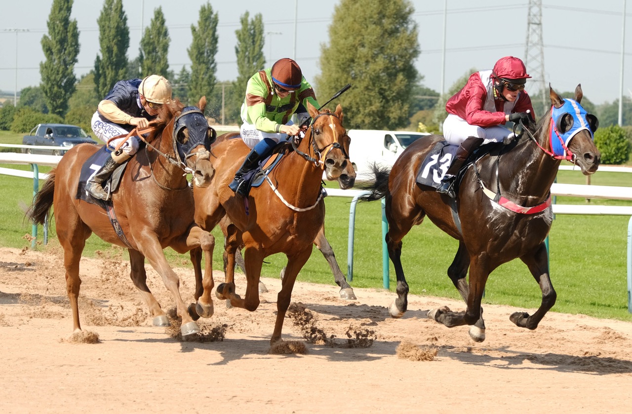 Sandform AllWeather Horse Racing Information And Tips