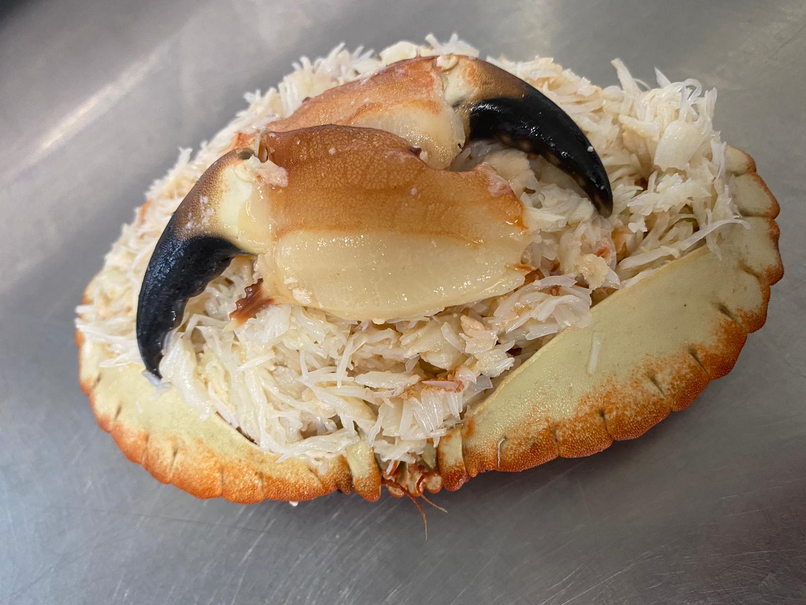 Dressed Crab Medium Sandgate Seafoods