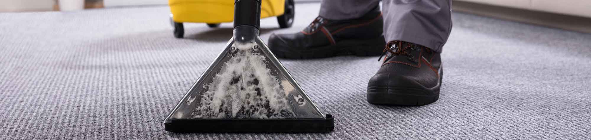 Free Mold Inspection For Renters Near Me Free Mold