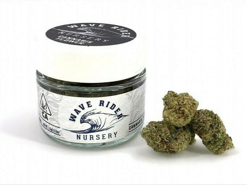 Wave Rider Nursery Chocolatina San Diego Cannabis Times