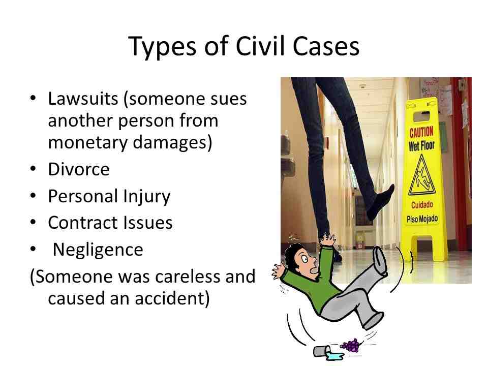 What are the three most common types of civil cases? San Diego Court