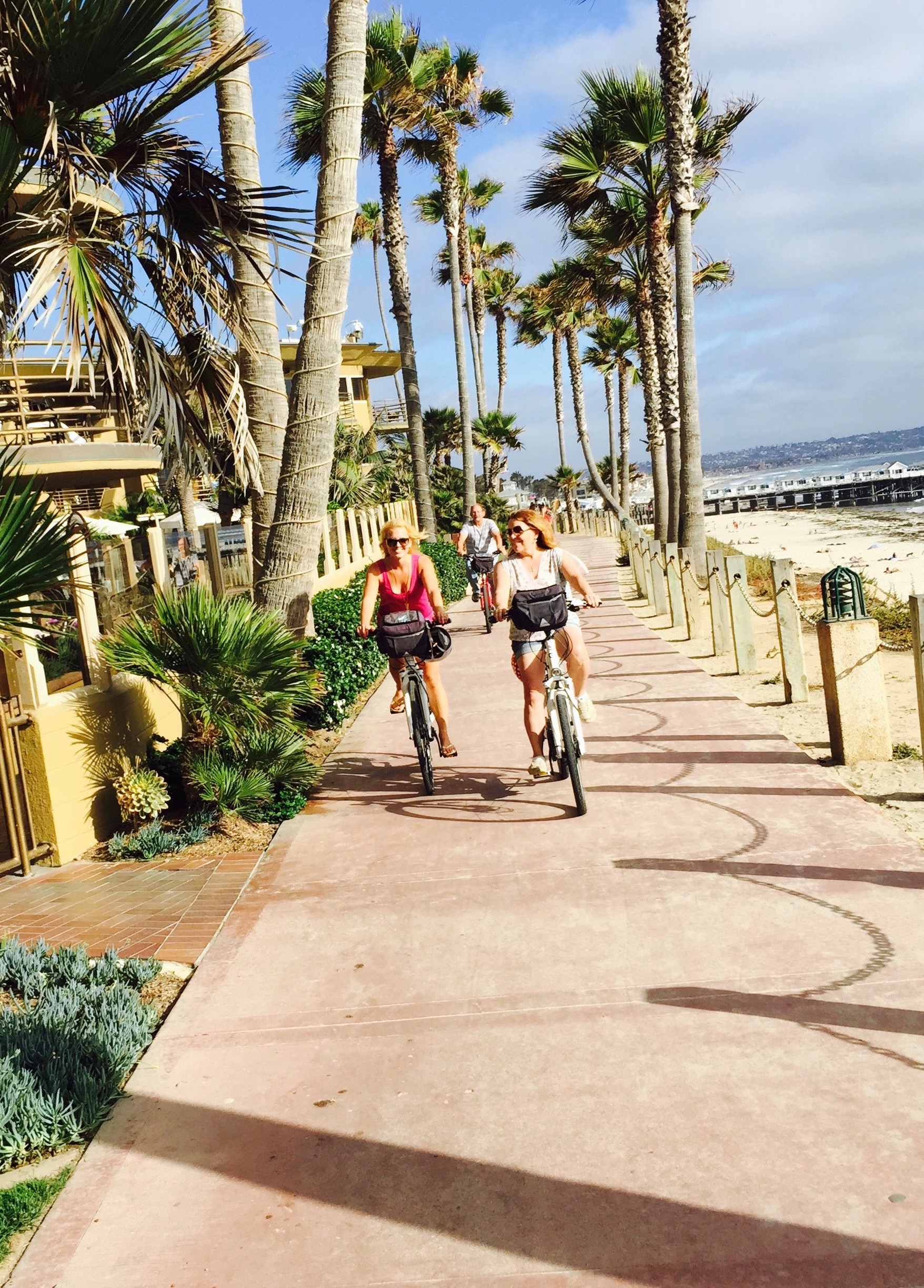 Electric Bike Rental San Diego Fly Rides