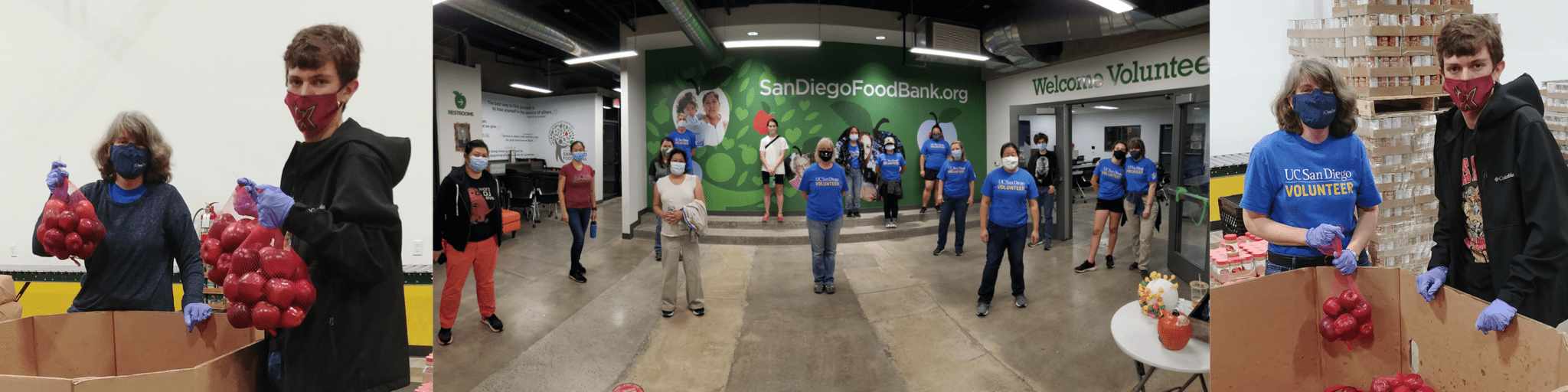 The food bank relies on individuals and volunteer groups to help us in our warehouse, at food. Blog Post Banner - Vanessa Pool - Jacobs & Cushman San ...
